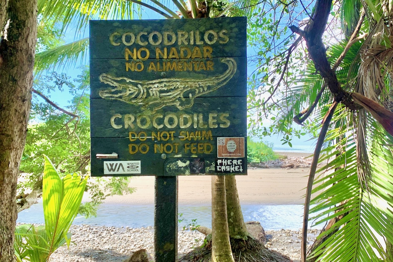 How to Avoid Crocodiles in Costa Rica  